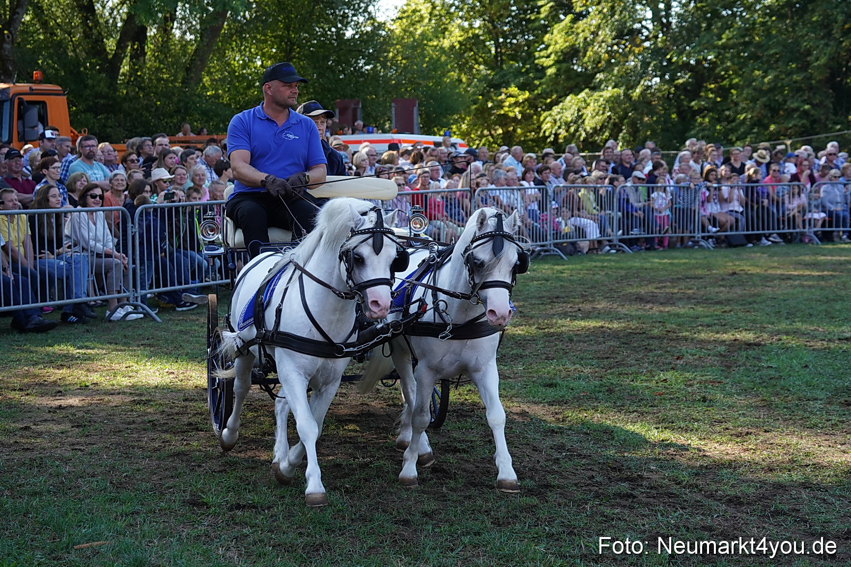 Pferde und Fohlenschau 2022 0094 
